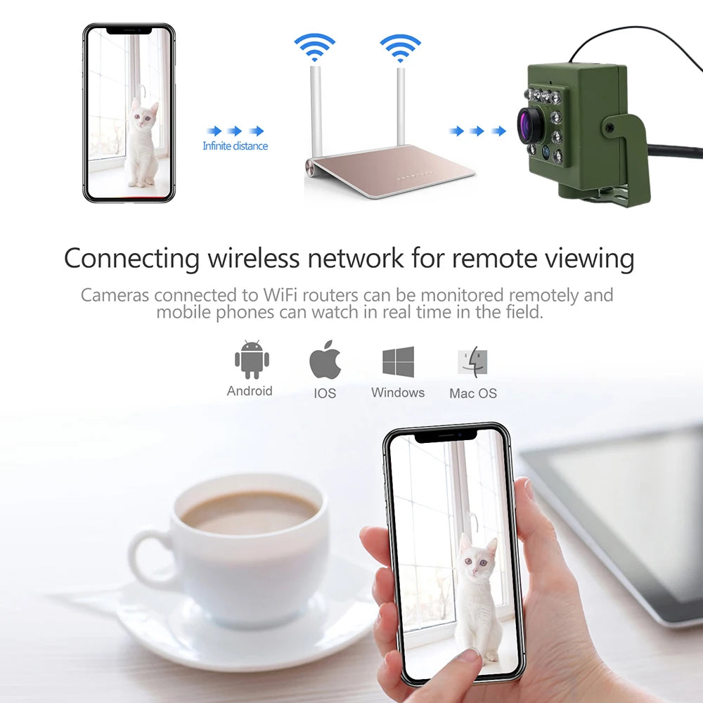 Green Wifi Bird Box Camera Audio 1920P 1080P IR CUT Night Vision RTSP FTP Mini IP IPC Pet Nest Bird Watching 2.8mm lens Camhi