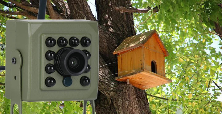 Green Wifi Bird Box Camera Audio 1920P 1080P IR CUT Night Vision RTSP FTP Mini IP IPC Pet Nest Bird Watching 2.8mm lens Camhi